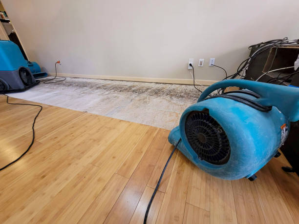 Professional Water Damage Repair technician working in Rosman, NC